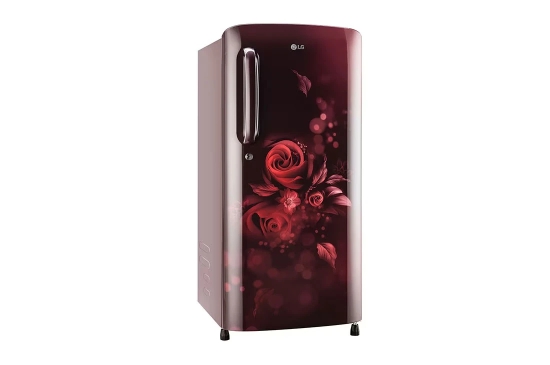 LG 192 Litres Single Door Refrigerator (Maroon - Flowers)