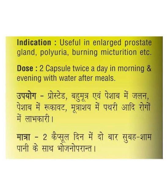 Baidyanath Prostaid Capsule - 60 Capsules