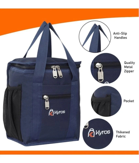 Kyros Black Polyester Lunch Bag Pack of 2 - Black