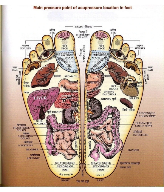 ZIPPIWUD Foot Massager