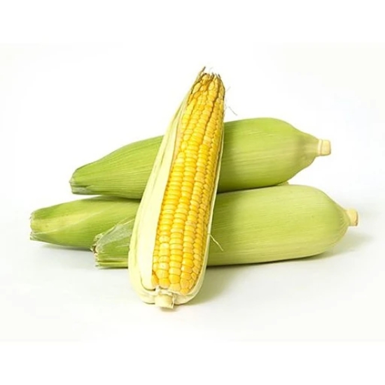 American Sweet Corn One Piece