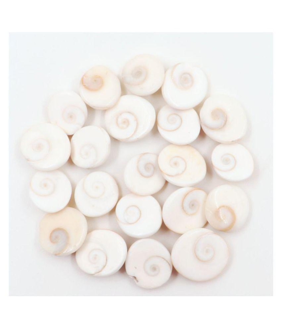 Arkam Gomti Chakra / Gomati Chakra / White Gomti Chakra / Original Premium Quality for Puja 12-15 mm - Set of 21 Pcs