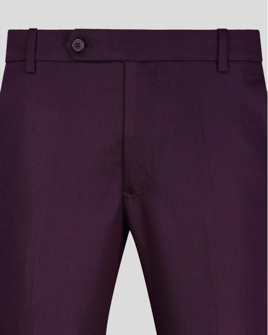Wine Normal Fit Trousers-32