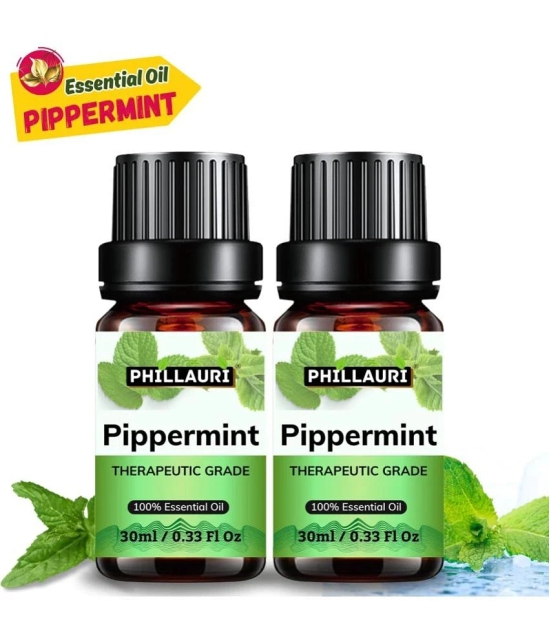 Phillauri Peppermint Others Essential Oil Fruity With Dropper 60 mL ( Pack of 2 )