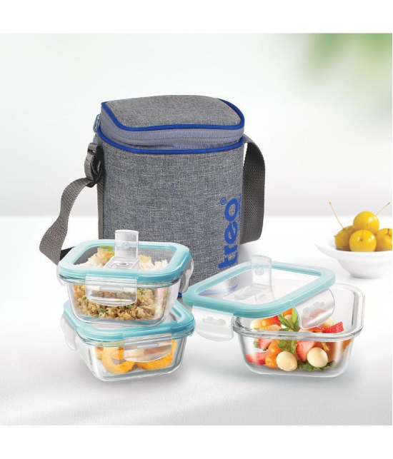 Treo by Milton All Fresh Square Glass Tiffin Containers With Insulated Jacket, 320 ml Each, Grey