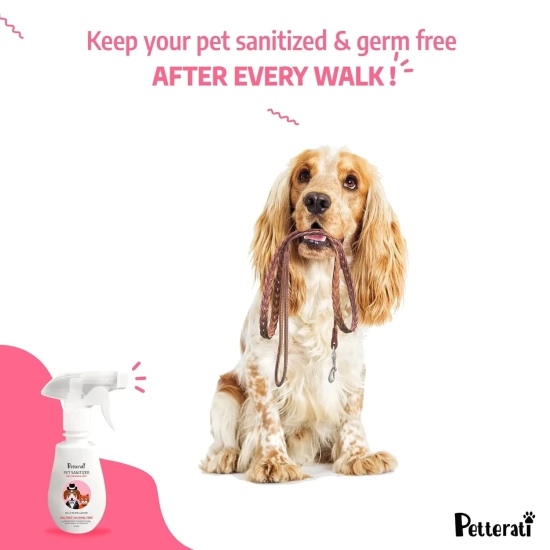 Petterati Floral Pet Sanitizer (250ml) BKC & Alcohol Free | Kills 99.9% Germs | with The Goodness of Aloe Vera & Vitamin E