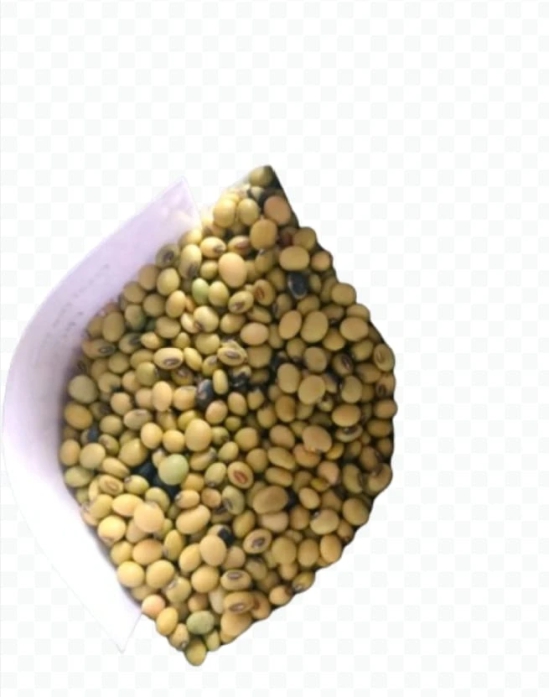 Green soyabean