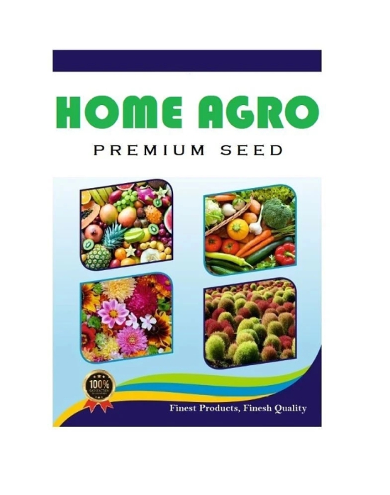 homeagro - Cucumber Vegetable Seeds (Pack of 50)