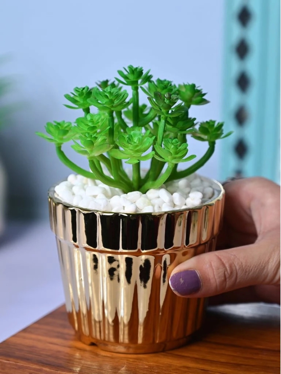 Golden Stripes - Artificial Plant with Glossy Ceramic Pot