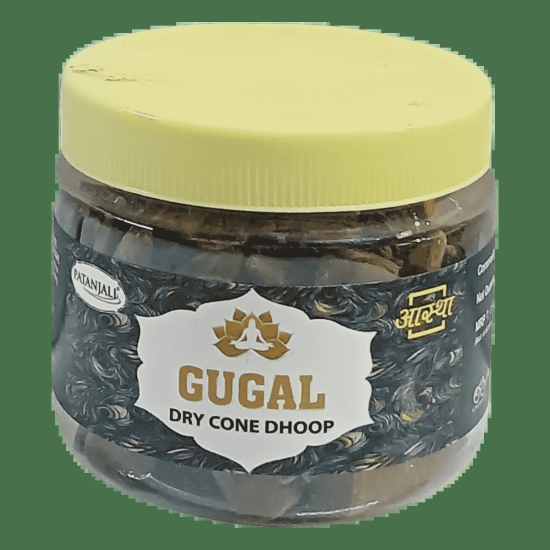 AASTHA GUGAL CONE DHOOP - 80 GM