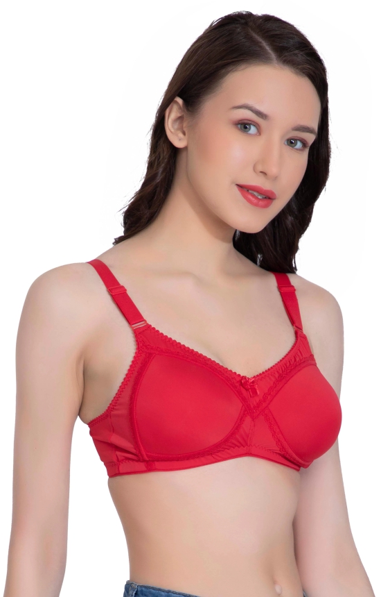 LacyLuxe Full Coverage/Seamless Padded Bra Women T-Shirt Lightly Padded Bra-40B / Navy / Nylon