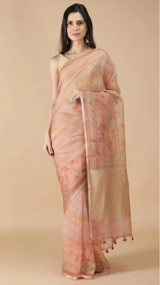 Organza Saree