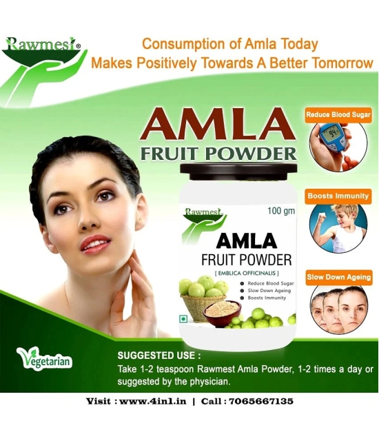 rawmest Amla Fruit Powder 100 gm Pack Of 1