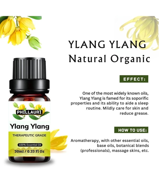 Phillauri Ylang-Ylang Others Essential Oil Fruity With Dropper 60 mL ( Pack of 2 )