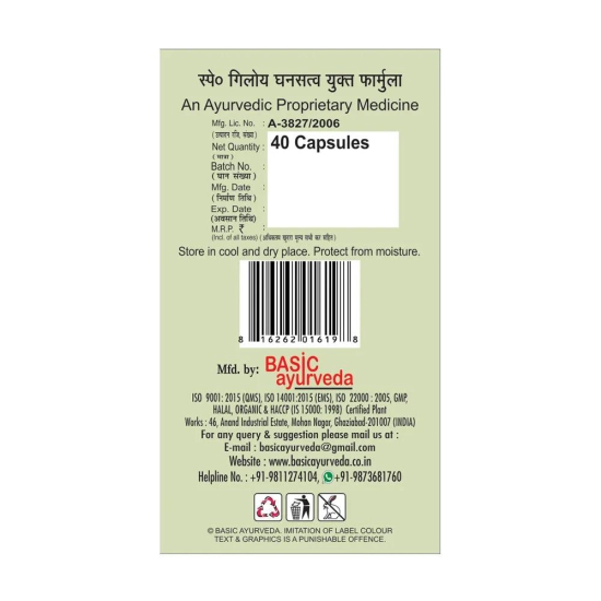 Basic Ayurveda Giloy Power 40 Capsules