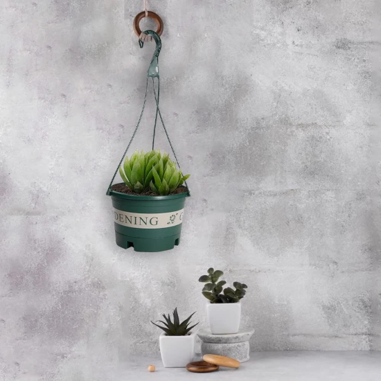 Urbane Home Plastic Flower Pot, Indoor/Outdoor Hanging Planter, Durable, Lightweight, Water Drainage, Balcony/Office Decor, Medium, Green.-Urbane Home Plastic Flower Pot|Indoor/Outdoor Hanging Pl