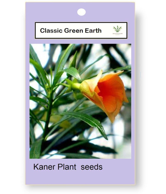 CLASSIC GREEN EARTH - Kantola Flower ( 15 Seeds )