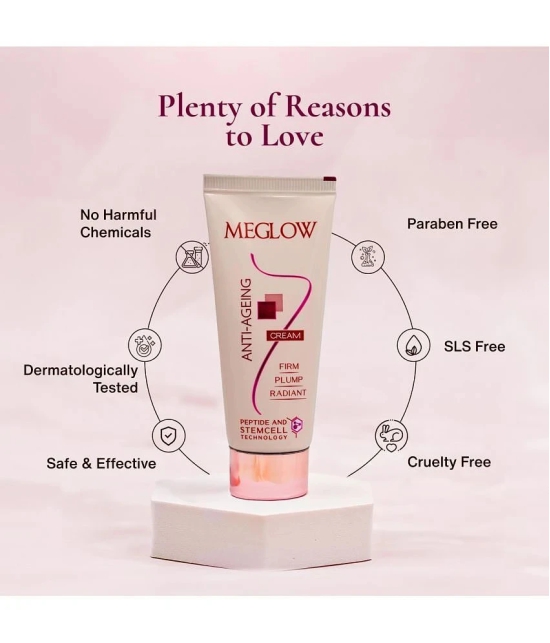 Meglow Day Cream All Skin Type Vitamin C ( 30 gm )