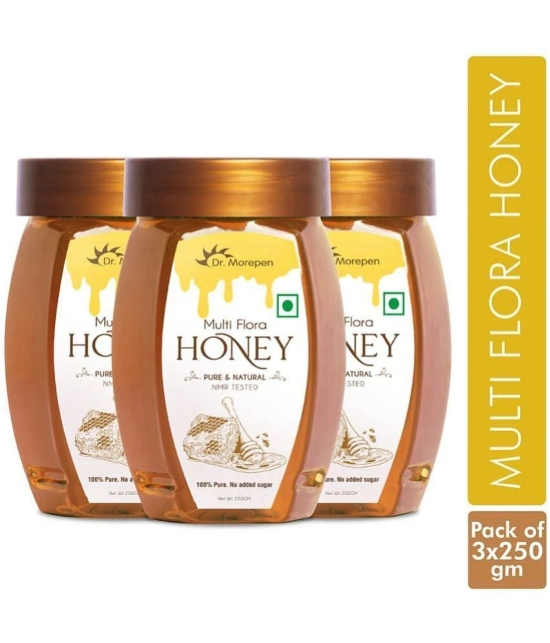 Dr. Morepen Multi Flora Honey 250gm Each- Pack of 3