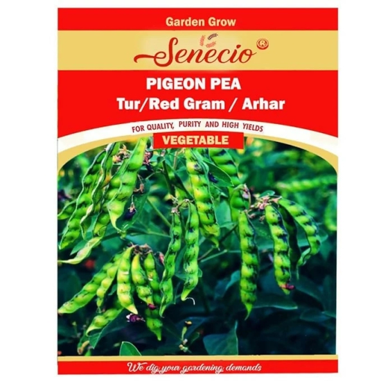 SENECIO Tur Pigeon Pea Seeds (100-Pack) for Easy Gardening