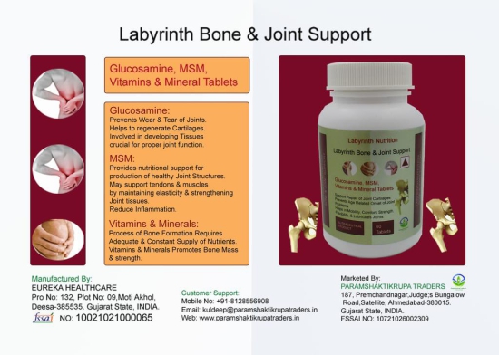 Labyrinth Joint Support_60T