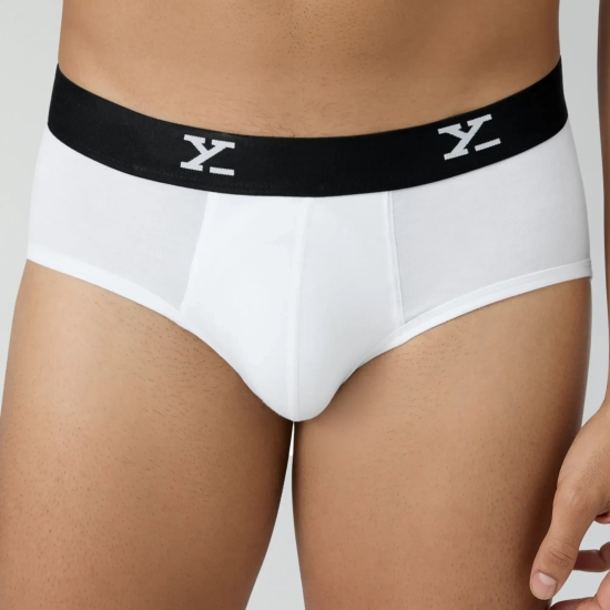 Ace Modal Briefs Polar White L