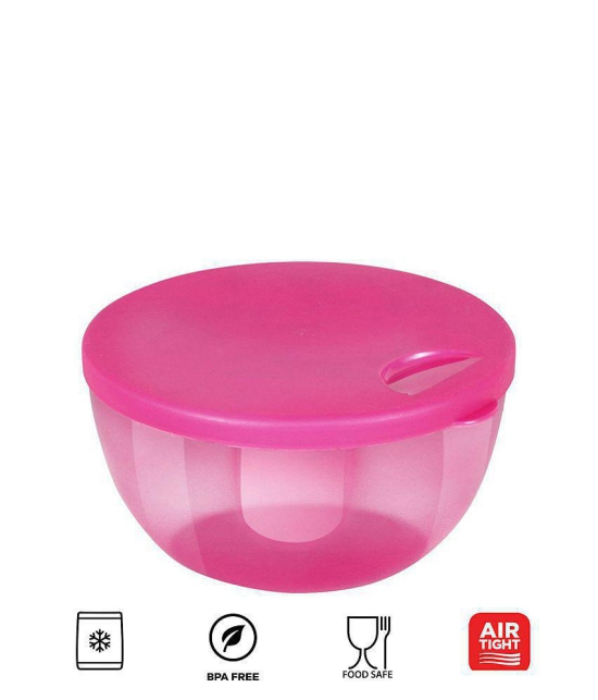 HOMETALES Multi-Purpose Container 1100ml, 700ml, 450ml, 300ml, 150ml,Blue (5U) - Pink