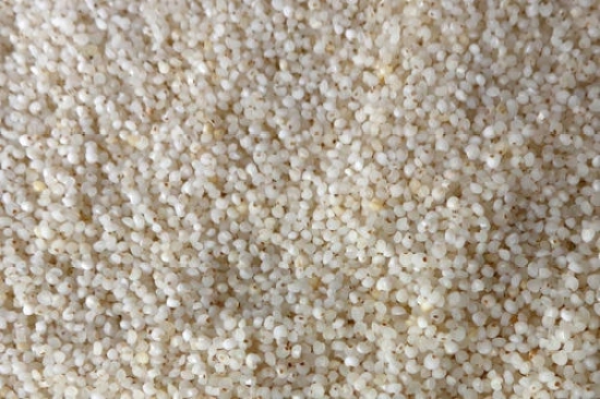 Vattam Barnyard Millet, 500 Gm