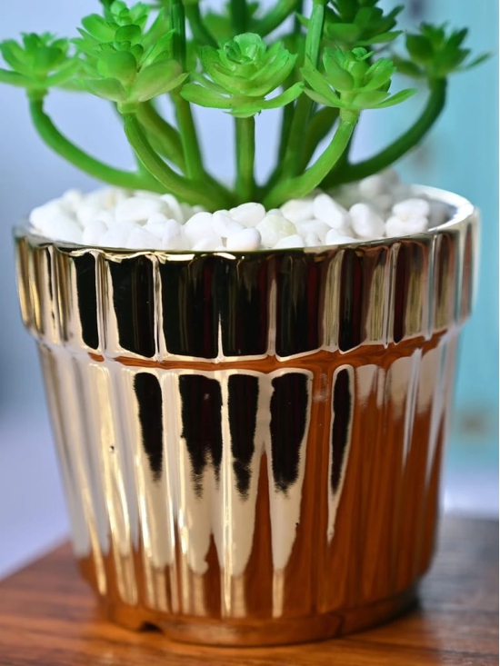 Golden Stripes - Artificial Plant with Glossy Ceramic Pot