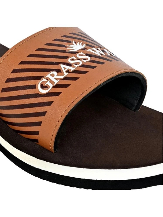 GRASS WALK Brown Mens Daily Slipper - None