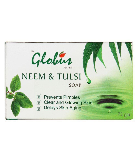 globus remedies Aloevera Face Wash + Neem Soap Face Wash 245 gm