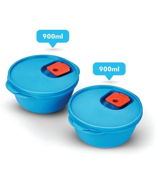 Oliveware Plastic Blue Food Container ( Set of 2 ) - Blue