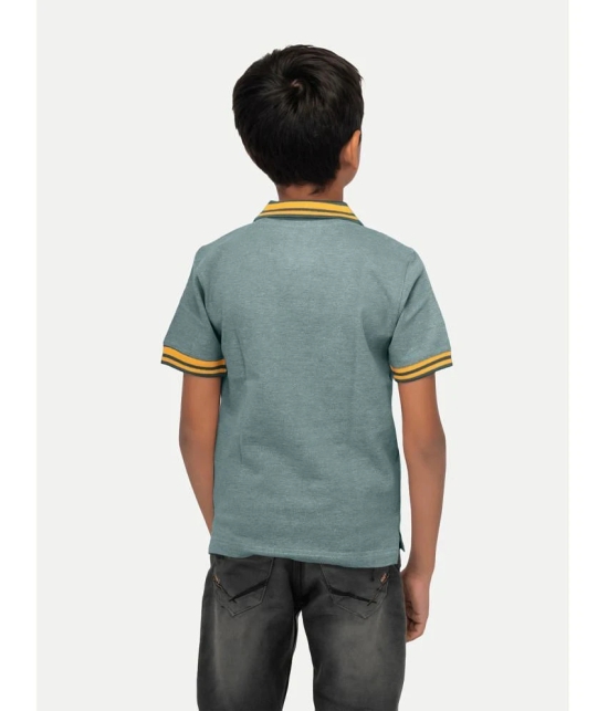 Radprix Green Cotton Blend Boys Polo T-Shirt ( Pack of 1 ) - None