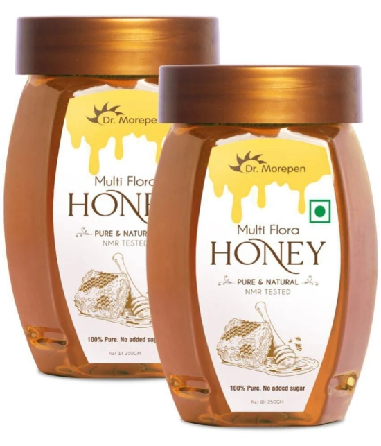 Dr. Morepen Multi Flora Honey 500 g