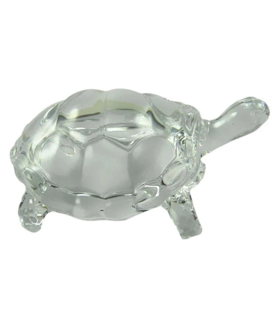 Bgroovy Crystal Tortoise