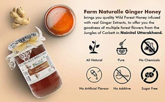 Farm Naturelle Healthy Ginger Infused Honey 700g + 75g Extra |100% Pure Honey| Raw & Unfiltered|Unprocessed|Lab Tested Honey In Glass Jar with Engraved Virgin Wooden Spoon