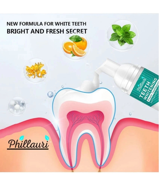 Phillauri Natural Denture Oral Kit