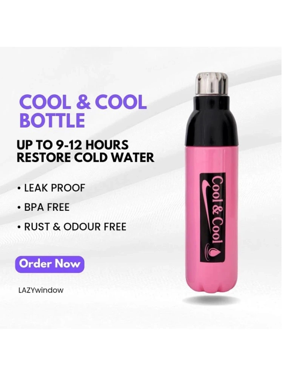 LAZYWINDOW Cool & Cool 1000ml Pink & Sky Blue Water Bottle Blue Plastic Water Bottle 1000 mL ( Set of 2 ) - Blue