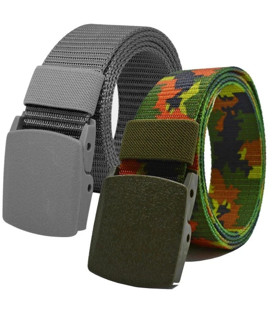 Loopa Multi Nylon Casual Belt Pack of 2 - None