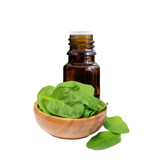 Spinach Liquid Extract Water Soluble-100 Grams