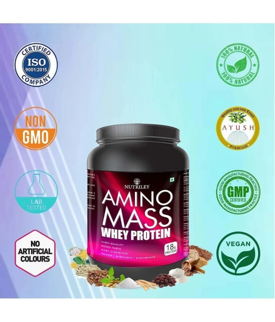 Nutriley Amino mass Whey Protein ( 500 gm , Vanilla - Flavour )