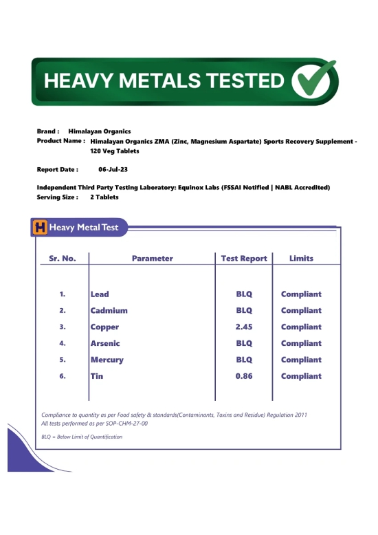 HimalayanOrganicsZMA Zinc Magnesium Aspartate Sports Recovery Supplement - 120 Veg Tablets-Himalayan Organics ZMA (Zinc, Magnesium Aspartate) Sports Recovery Supplement - 120 Veg Tablets