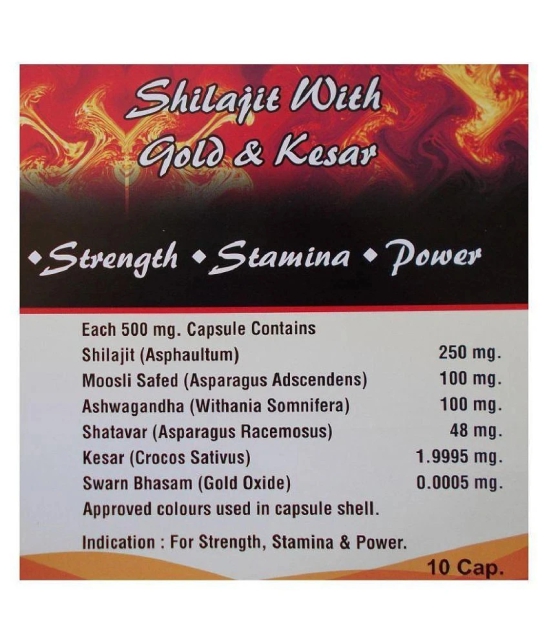 Shilajit - Multivitamins for Men (Pack of 10)