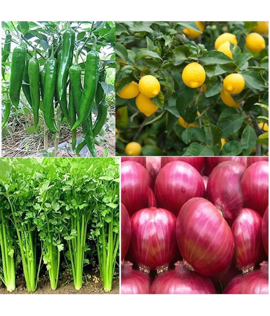 CLASSIC GREEN EARTH - Chilli Vegetable ( 200 Seeds )