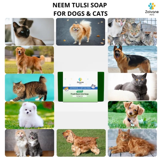 Neem tulsi Soap