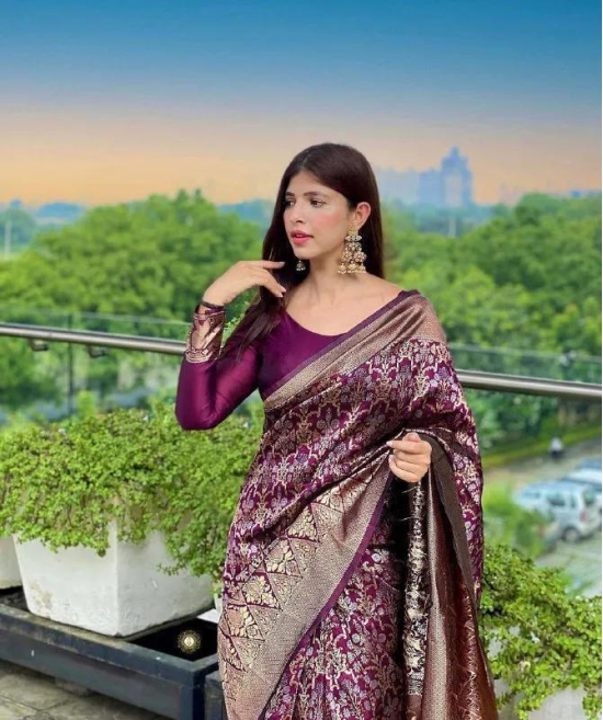 Wine Pure Pure Banarasi Silk With Confounding Blouse Piece