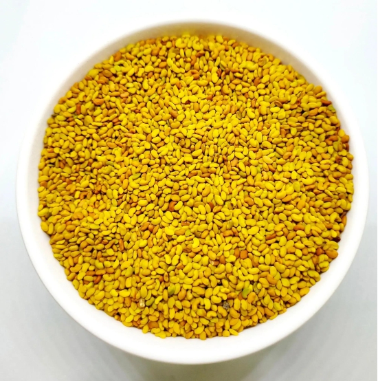 Alfalfa Seed / ????????? ??? / Medicago sativa 50 Gms