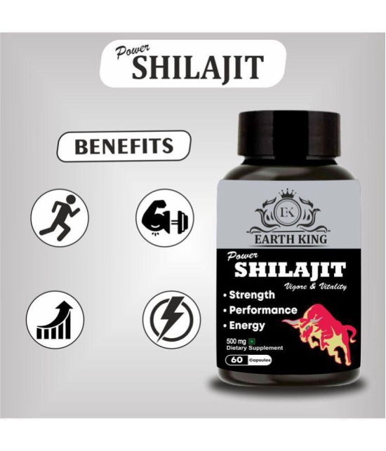 EARTH KING Power Shilajit/Shilajeet Capsule Support Strength, Stamina & Energy- 500mg 120 Capsules (Shilajit Pack of 2)