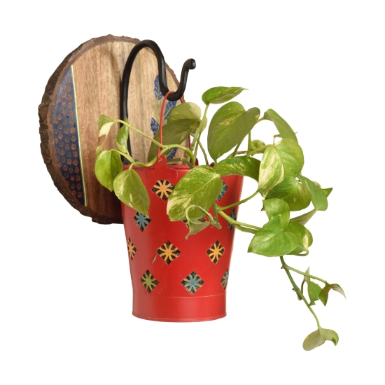 Red Bucket Metal Planter on a Round Wall Hook