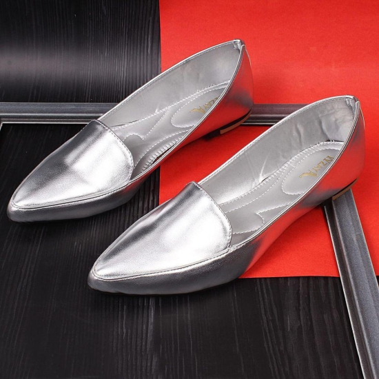 Women Ballerina Shoes Silver